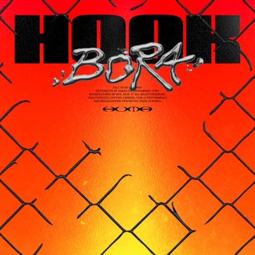 HOOK cover