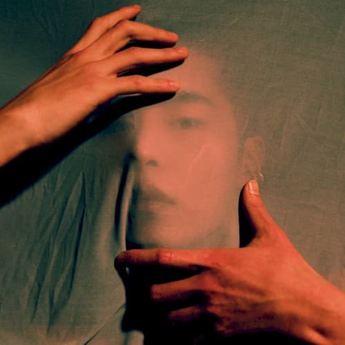 SHADOW cover