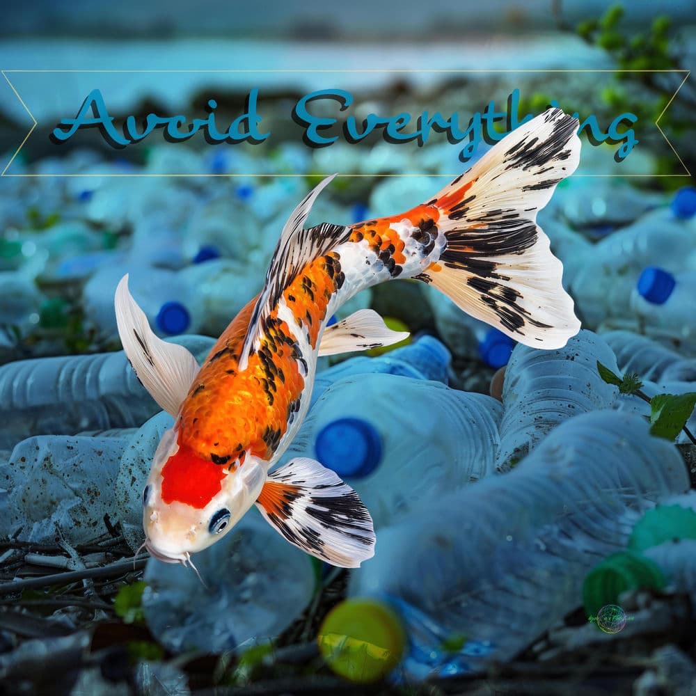 Avoid Everything cover