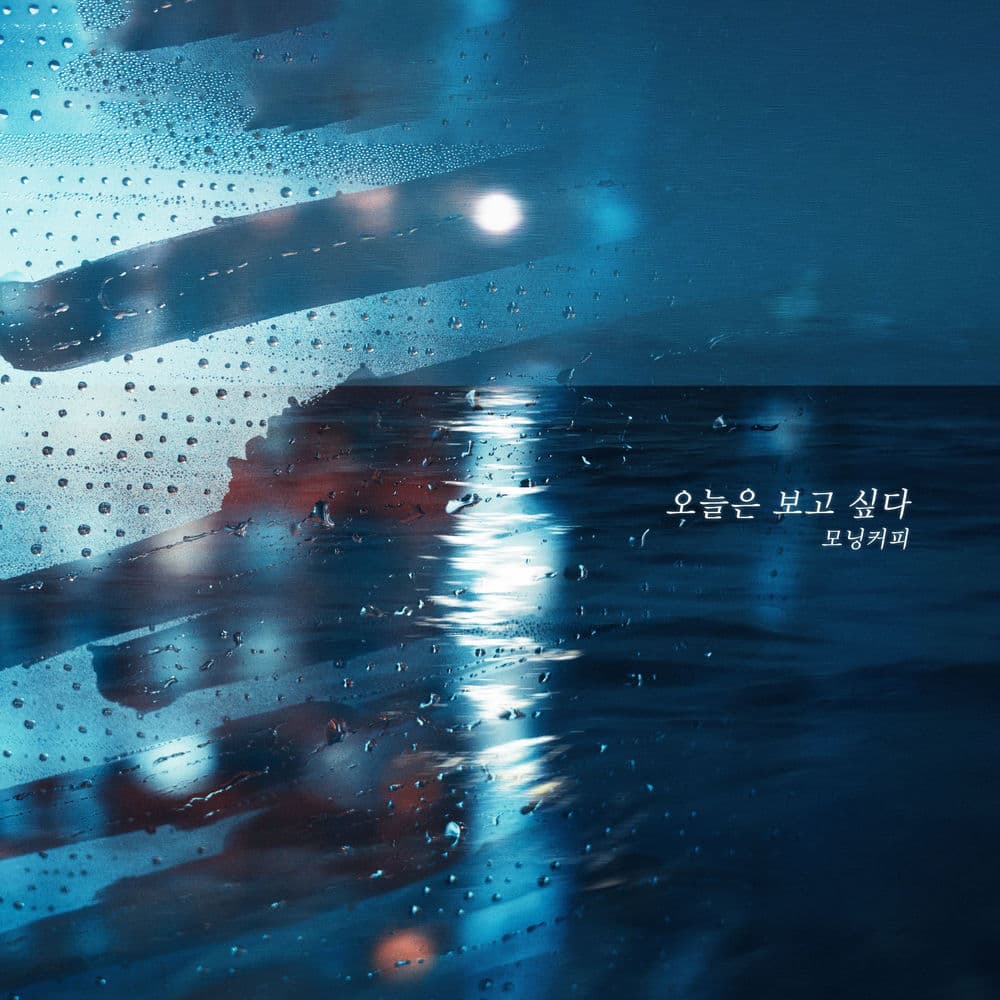 오늘은 보고 싶다 cover