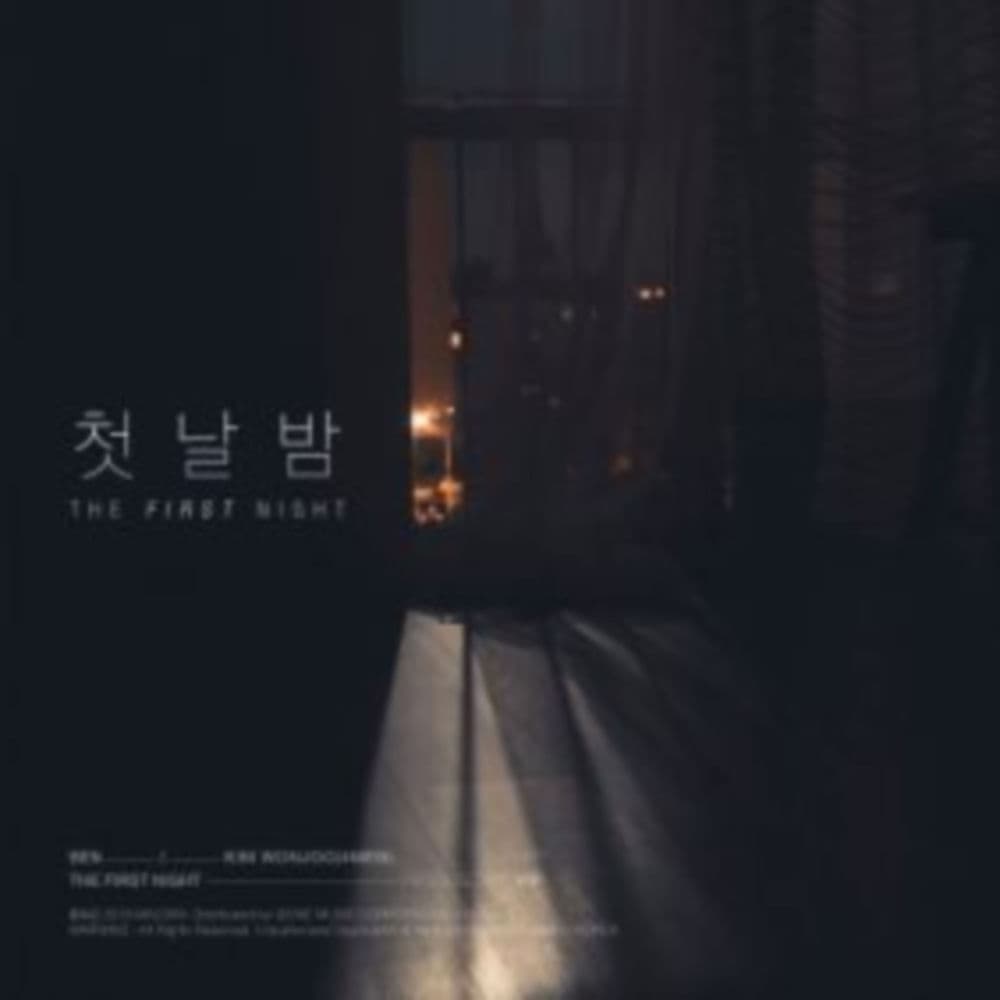 The First Night cover