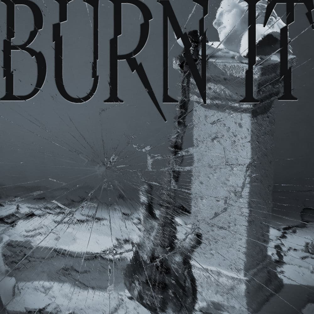 BURN IT cover