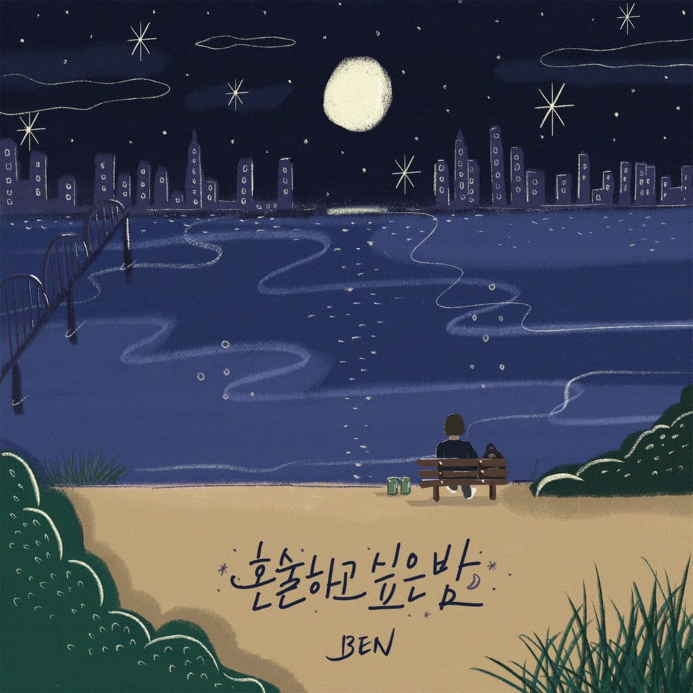 Lonely night cover