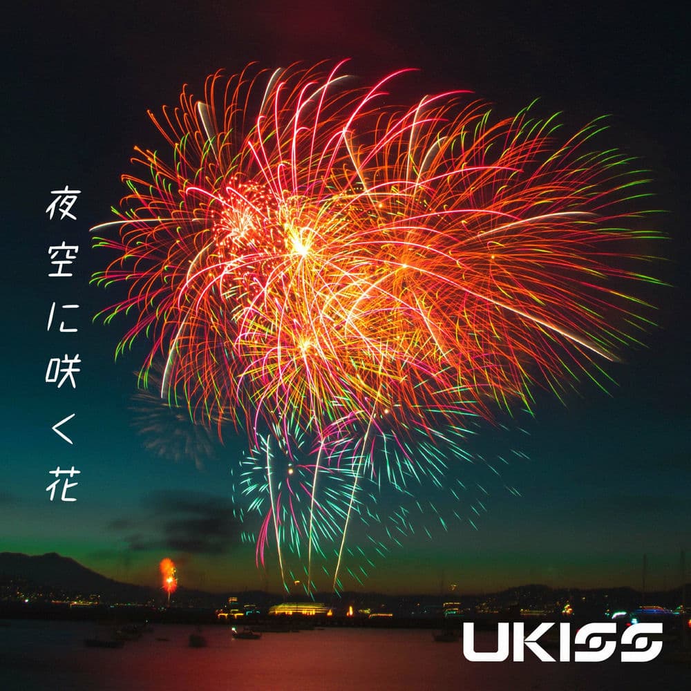 夜空に咲く花 cover