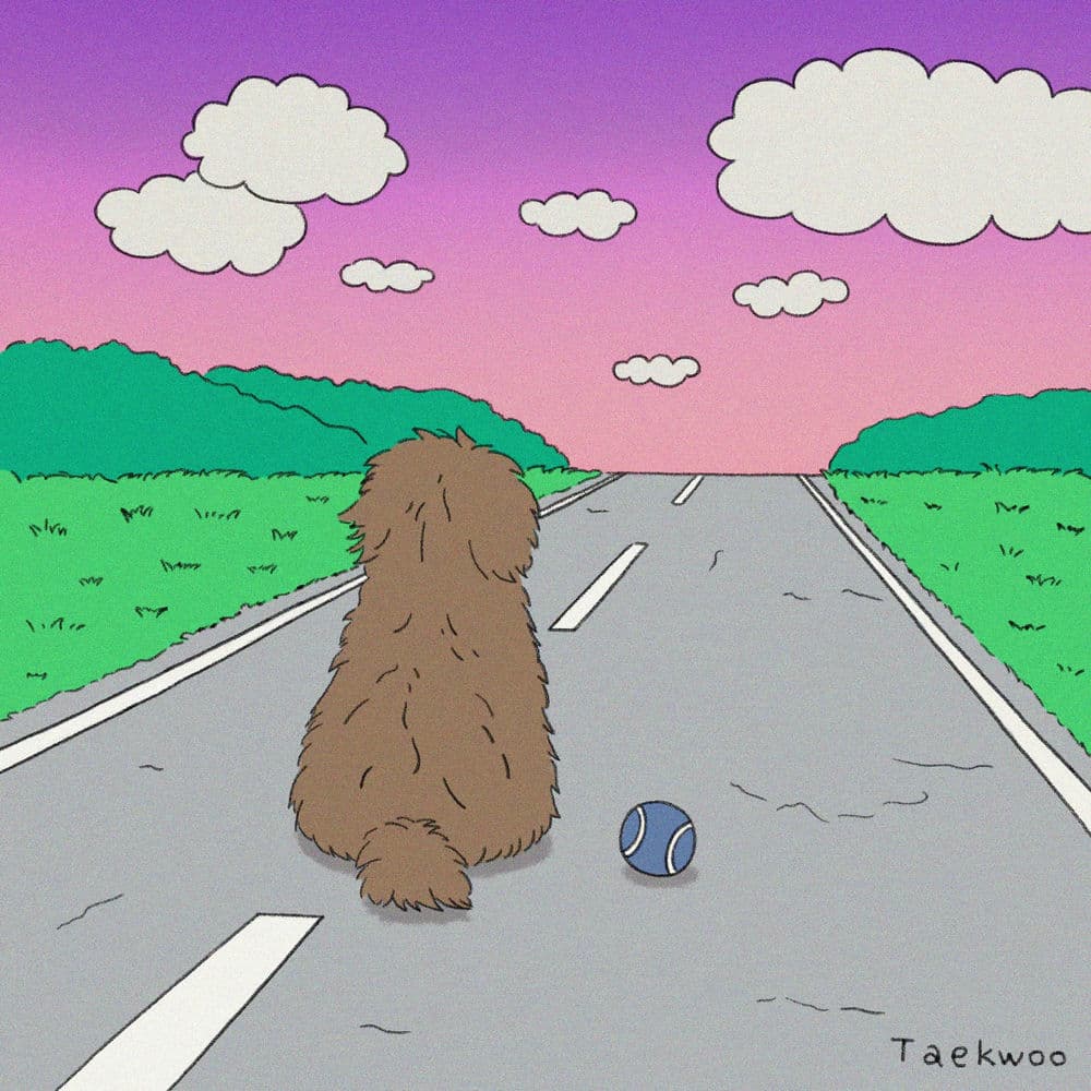 a boy on the asphalt cover