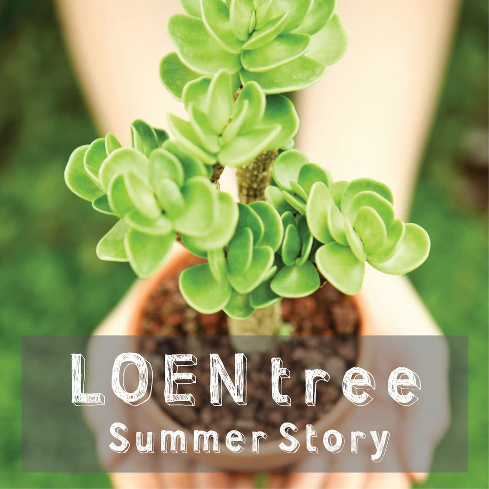 LOEN TREE Summer Story cover