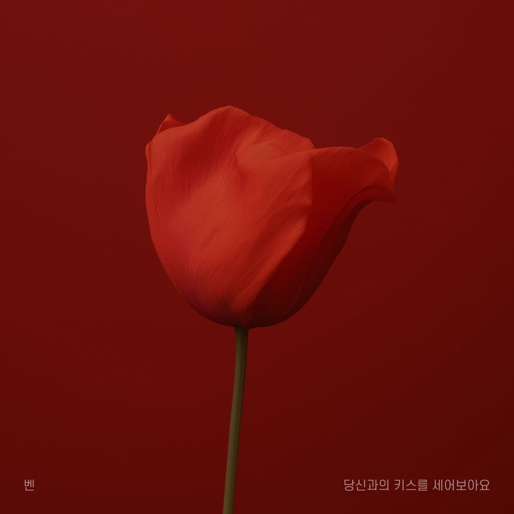 Counting Our Kisses cover