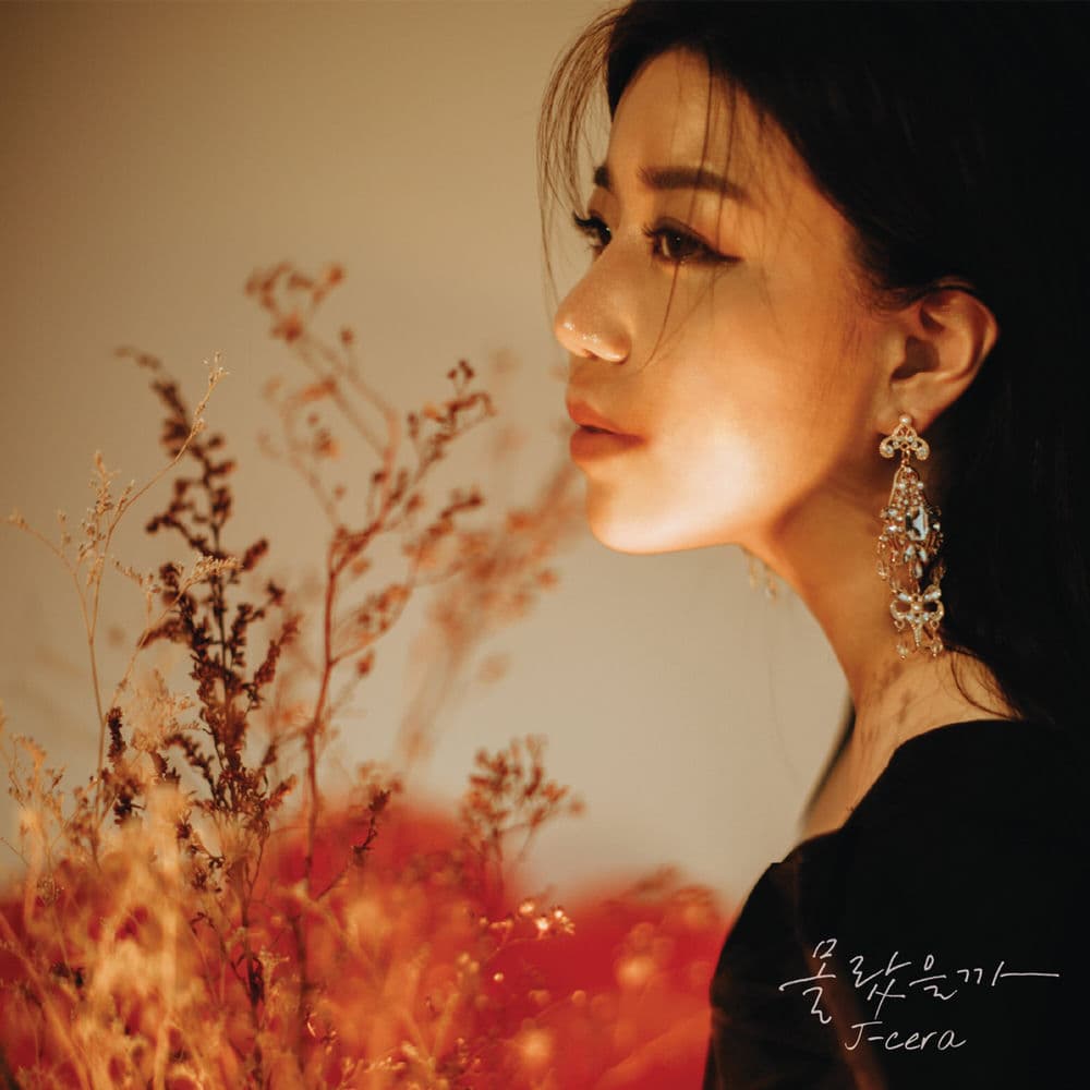 I didn't know cover