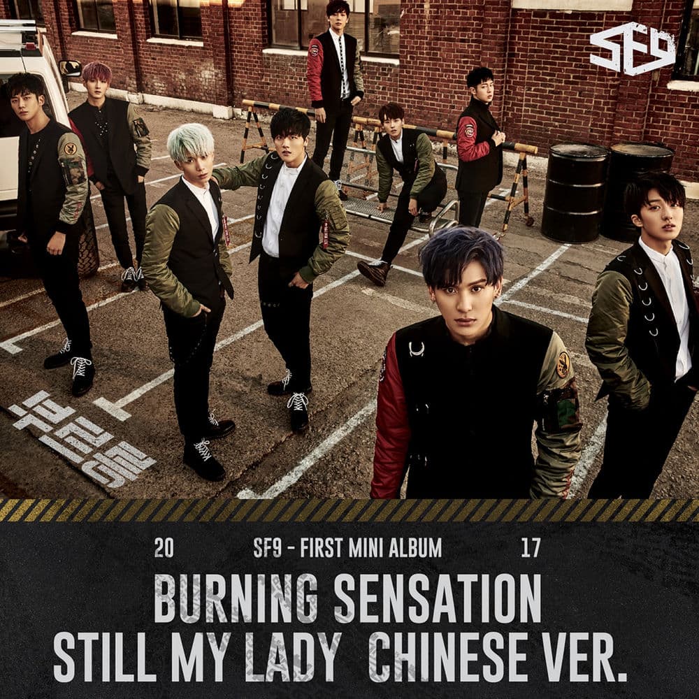 Still My Lady (Chinese Ver.) - 无法忘记的美 cover